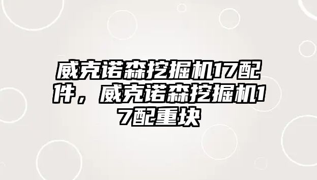 威克諾森挖掘機(jī)17配件，威克諾森挖掘機(jī)17配重塊