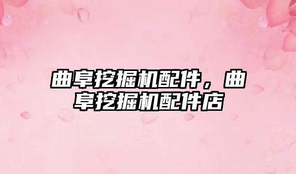 曲阜挖掘機配件，曲阜挖掘機配件店