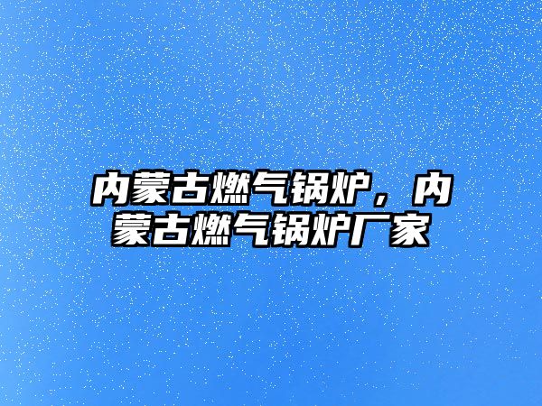 內(nèi)蒙古燃氣鍋爐，內(nèi)蒙古燃氣鍋爐廠家