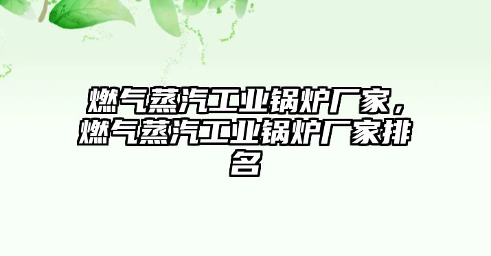 燃?xì)庹羝I(yè)鍋爐廠家，燃?xì)庹羝I(yè)鍋爐廠家排名