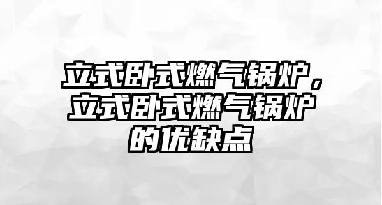 立式臥式燃氣鍋爐，立式臥式燃氣鍋爐的優(yōu)缺點