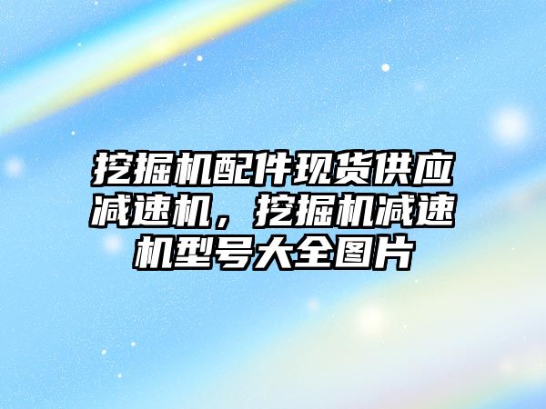 挖掘機配件現(xiàn)貨供應(yīng)減速機，挖掘機減速機型號大全圖片