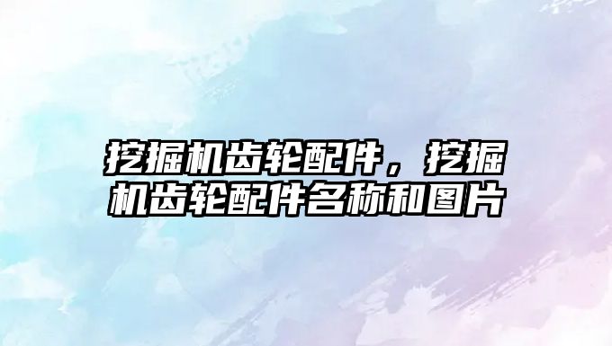 挖掘機(jī)齒輪配件，挖掘機(jī)齒輪配件名稱和圖片