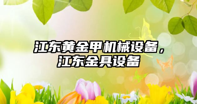 江東黃金甲機械設(shè)備，江東金具設(shè)備