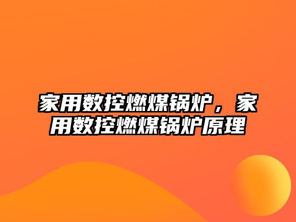 家用數(shù)控燃煤鍋爐，家用數(shù)控燃煤鍋爐原理