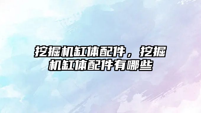 挖掘機(jī)缸體配件，挖掘機(jī)缸體配件有哪些