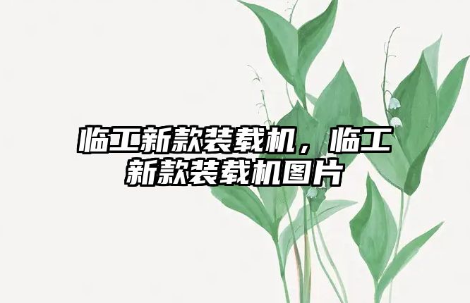 臨工新款裝載機(jī)，臨工新款裝載機(jī)圖片