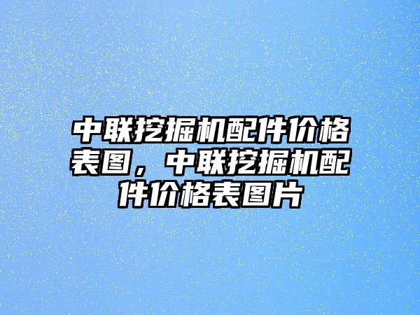 中聯(lián)挖掘機(jī)配件價(jià)格表圖，中聯(lián)挖掘機(jī)配件價(jià)格表圖片