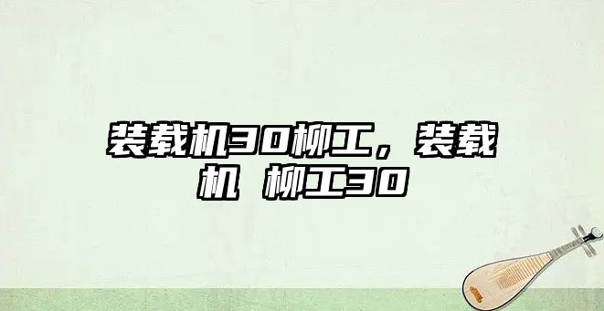 裝載機30柳工，裝載機 柳工30