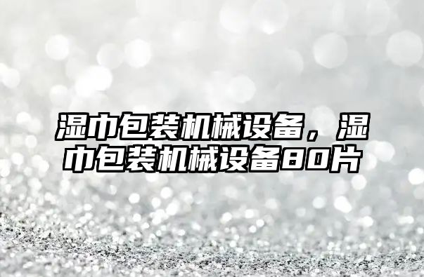 濕巾包裝機(jī)械設(shè)備，濕巾包裝機(jī)械設(shè)備80片
