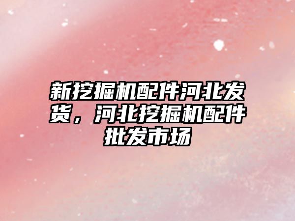 新挖掘機(jī)配件河北發(fā)貨，河北挖掘機(jī)配件批發(fā)市場(chǎng)