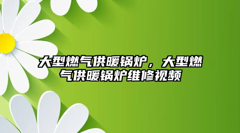 大型燃?xì)夤┡仩t，大型燃?xì)夤┡仩t維修視頻