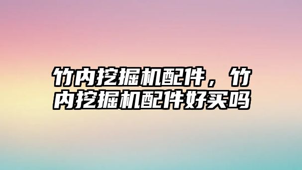 竹內(nèi)挖掘機配件，竹內(nèi)挖掘機配件好買嗎