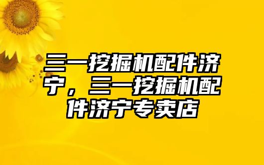 三一挖掘機(jī)配件濟(jì)寧，三一挖掘機(jī)配件濟(jì)寧專賣店