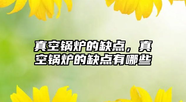 真空鍋爐的缺點，真空鍋爐的缺點有哪些