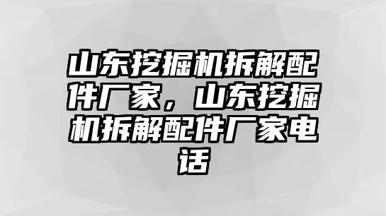 山東挖掘機拆解配件廠家，山東挖掘機拆解配件廠家電話