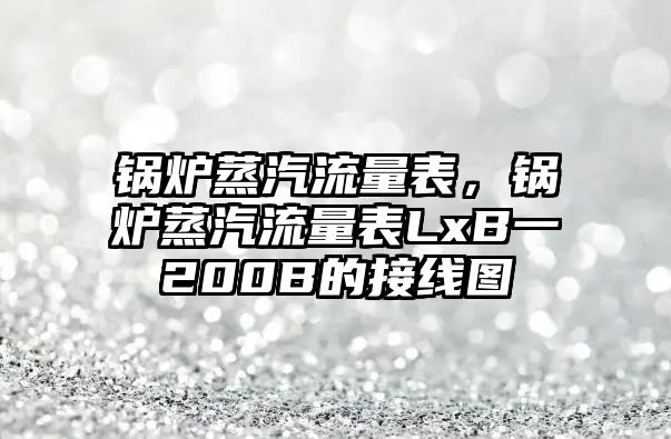 鍋爐蒸汽流量表，鍋爐蒸汽流量表LxB一200B的接線圖