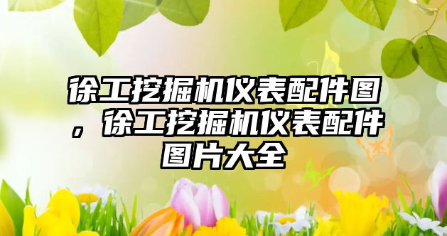 徐工挖掘機(jī)儀表配件圖，徐工挖掘機(jī)儀表配件圖片大全