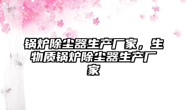 鍋爐除塵器生產(chǎn)廠家，生物質(zhì)鍋爐除塵器生產(chǎn)廠家