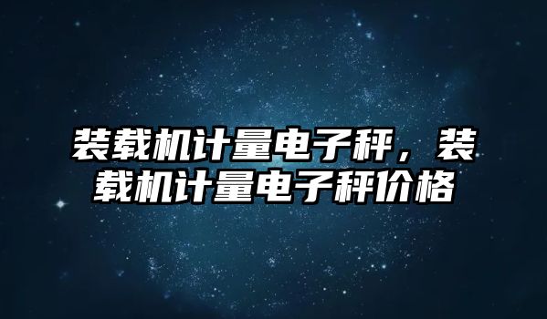 裝載機計量電子秤，裝載機計量電子秤價格