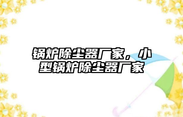 鍋爐除塵器廠家，小型鍋爐除塵器廠家