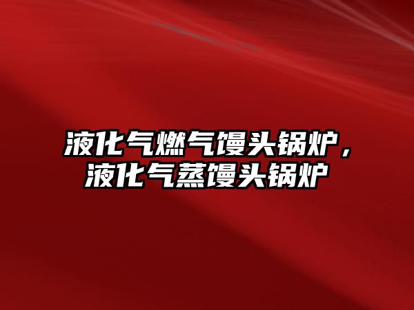 液化氣燃氣饅頭鍋爐，液化氣蒸饅頭鍋爐