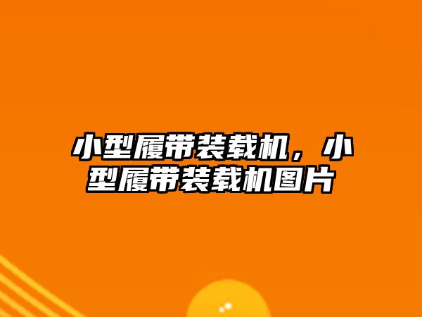 小型履帶裝載機(jī)，小型履帶裝載機(jī)圖片