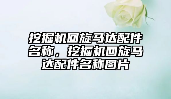 挖掘機(jī)回旋馬達(dá)配件名稱，挖掘機(jī)回旋馬達(dá)配件名稱圖片