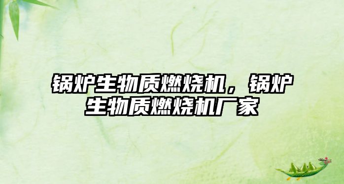 鍋爐生物質(zhì)燃燒機(jī)，鍋爐生物質(zhì)燃燒機(jī)廠家