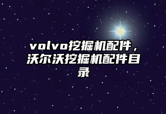 volvo挖掘機配件，沃爾沃挖掘機配件目錄