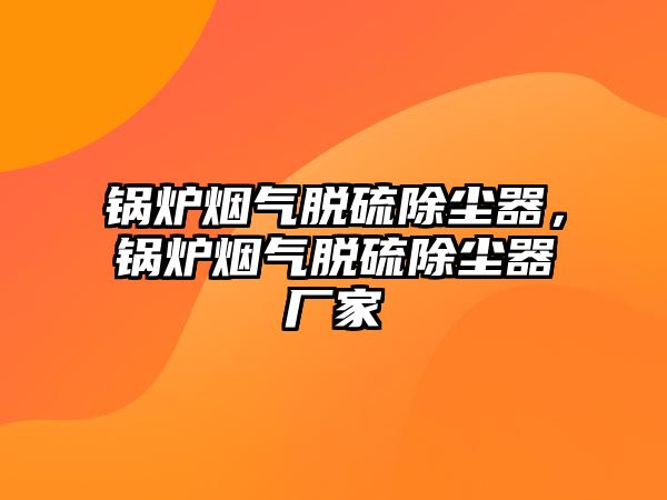 鍋爐煙氣脫硫除塵器，鍋爐煙氣脫硫除塵器廠家