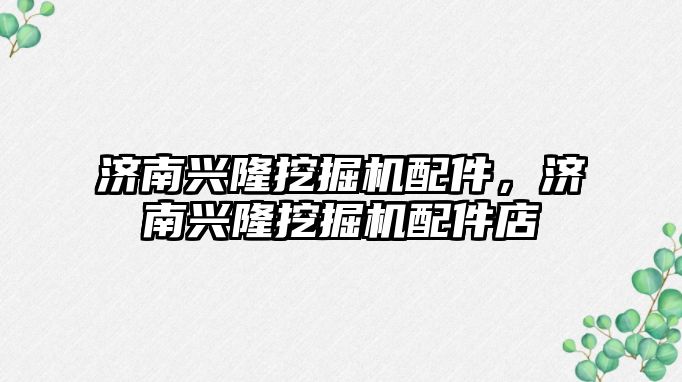 濟(jì)南興隆挖掘機(jī)配件，濟(jì)南興隆挖掘機(jī)配件店
