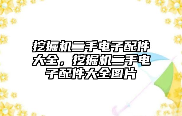 挖掘機(jī)二手電子配件大全，挖掘機(jī)二手電子配件大全圖片