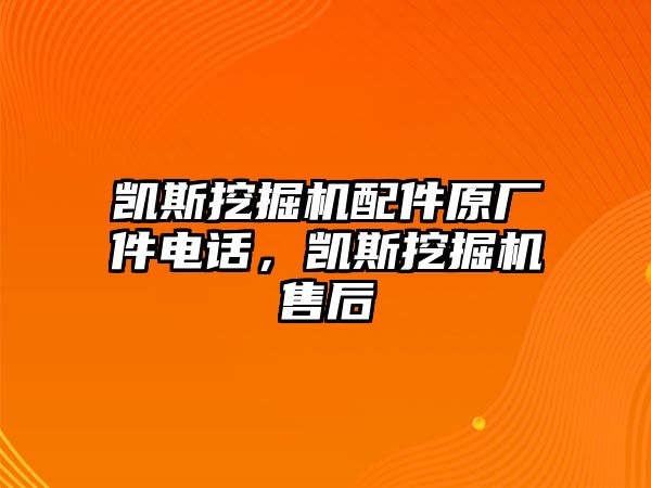 凱斯挖掘機(jī)配件原廠件電話(huà)，凱斯挖掘機(jī)售后