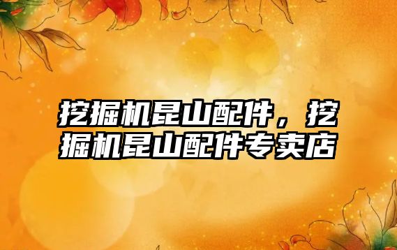 挖掘機(jī)昆山配件，挖掘機(jī)昆山配件專賣店