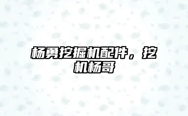 楊勇挖掘機(jī)配件，挖機(jī)楊哥