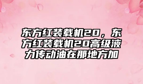 東方紅裝載機20，東方紅裝載機20高級液力傳動油在那地方加