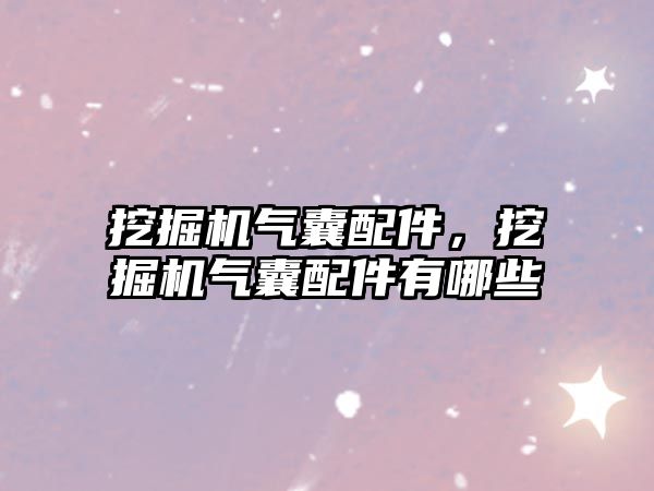 挖掘機(jī)氣囊配件，挖掘機(jī)氣囊配件有哪些