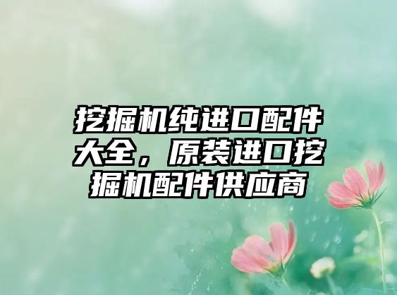 挖掘機(jī)純進(jìn)口配件大全，原裝進(jìn)口挖掘機(jī)配件供應(yīng)商