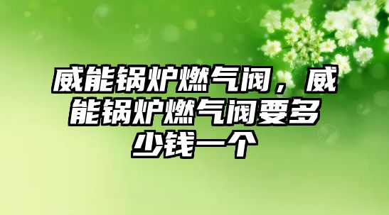威能鍋爐燃?xì)忾y，威能鍋爐燃?xì)忾y要多少錢(qián)一個(gè)