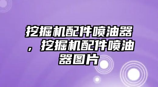 挖掘機(jī)配件噴油器，挖掘機(jī)配件噴油器圖片