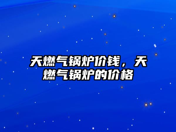 天燃?xì)忮仩t價錢，天燃?xì)忮仩t的價格