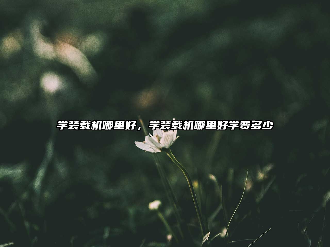 學(xué)裝載機(jī)哪里好，學(xué)裝載機(jī)哪里好學(xué)費(fèi)多少