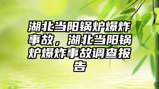 湖北當(dāng)陽(yáng)鍋爐爆炸事故，湖北當(dāng)陽(yáng)鍋爐爆炸事故調(diào)查報(bào)告