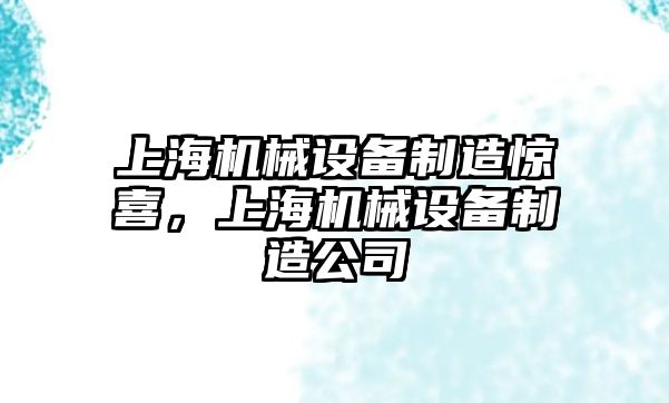 上海機(jī)械設(shè)備制造驚喜，上海機(jī)械設(shè)備制造公司