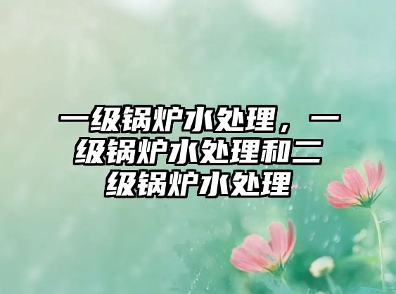 一級鍋爐水處理，一級鍋爐水處理和二級鍋爐水處理