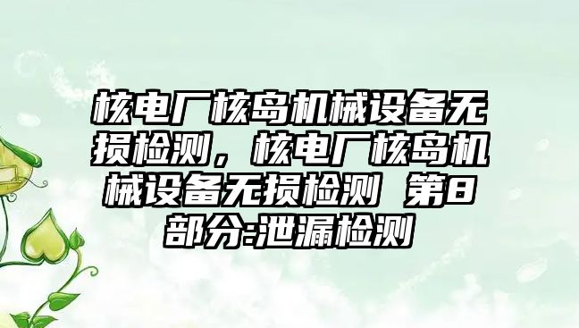 核電廠核島機(jī)械設(shè)備無(wú)損檢測(cè)，核電廠核島機(jī)械設(shè)備無(wú)損檢測(cè) 第8部分:泄漏檢測(cè)