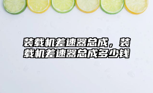 裝載機差速器總成，裝載機差速器總成多少錢