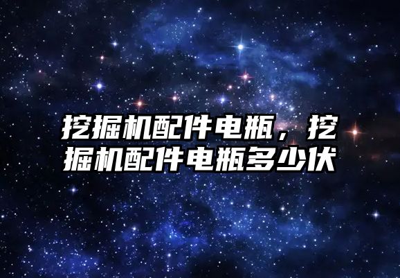 挖掘機配件電瓶，挖掘機配件電瓶多少伏