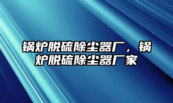 鍋爐脫硫除塵器廠，鍋爐脫硫除塵器廠家